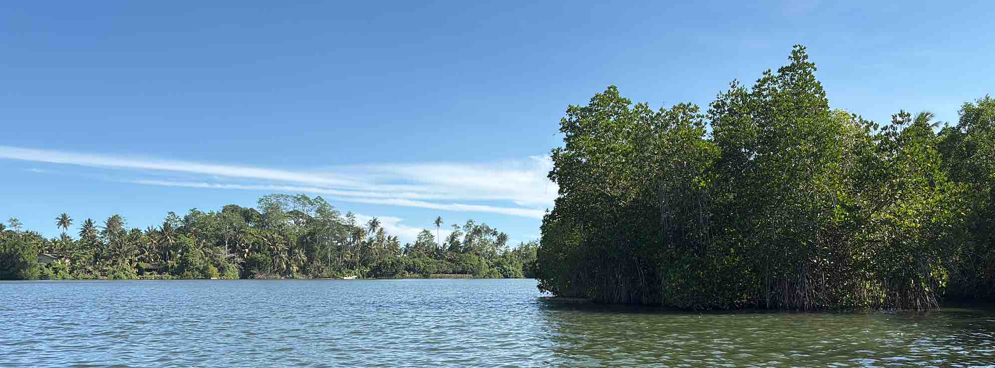 Pre-book Koggala Lake boat safari with TaxiGo.lk in Sri Lanka